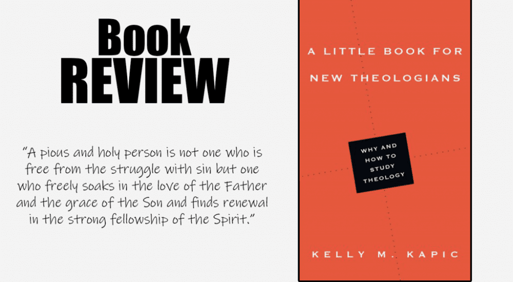 A Review of A Little Book for New Theologians